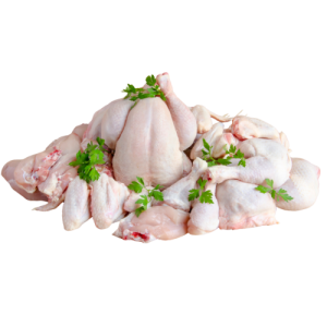 CHICKEN BROILER